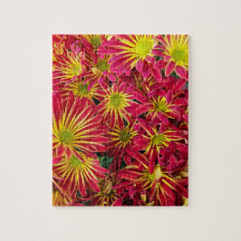 赤と黄色の菊の写真 ジグソーパズル