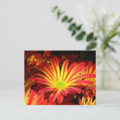 赤と黄色の菊の花をカスタマイズ ポストカード (スタンド正面)