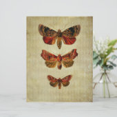 赤と黄色の蛾スクラップブックエフェメラ (スタンド正面)