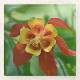 赤と黄色の2色オダマキ（植物）フローラ ガラスコースター