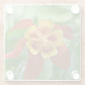 赤と黄色の2色オダマキ(植物)フローラ ガラスコースター (裏面)