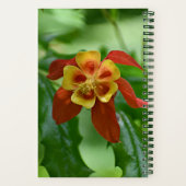 赤と黄色の2色オダマキ（植物）フローラ ノートブック (裏面)