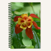 赤と黄色の2色オダマキ（植物）フローラ ノートブック (正面)