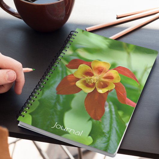 赤と黄色の2色オダマキ（植物）フローラ ノートブック