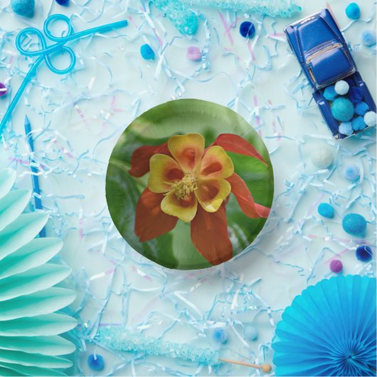 赤と黄色の2色オダマキ(植物)フローラ ペーパーボウル (パーティー)