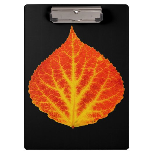 赤と黄色の《植物》アスペンリーフ#10 クリップボード (正面)