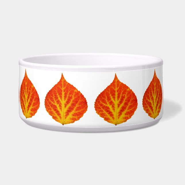 赤と黄色の《植物》アスペンリーフ#10 ボウル (正面)