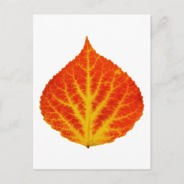 赤と黄色の《植物》アスペンリーフ#10 ポストカード
