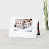 赤と黒のバッファローのプレイド家族の写真 シーズンカード (裏面)