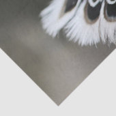 赤と黒の羽でクリスマスの鳥を切り離す 薄葉紙 (詳細)