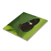 赤と黒の翼を持つ緑の葉の蝶 タイル (側面)