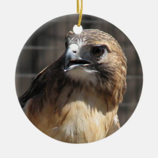赤によって後につかれるタカかBuzzardのオーナメント セラミックオーナメント (正面)