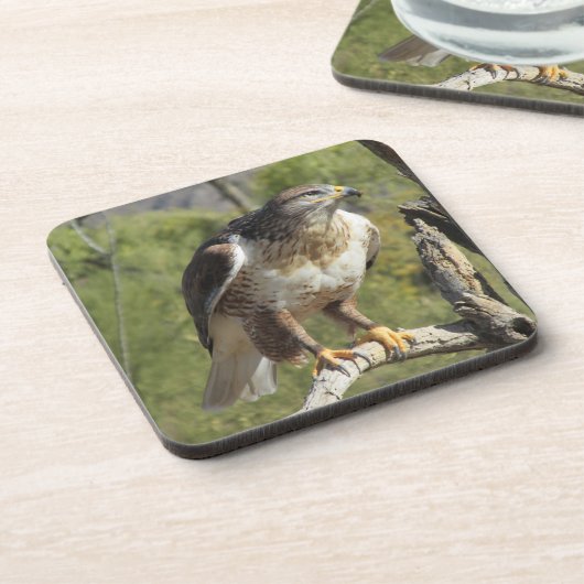 赤によって後につかれるタカのコースター コースター (左側)