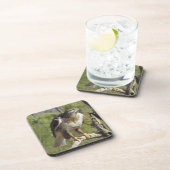 赤によって後につかれるタカのコースター コースター (右側)