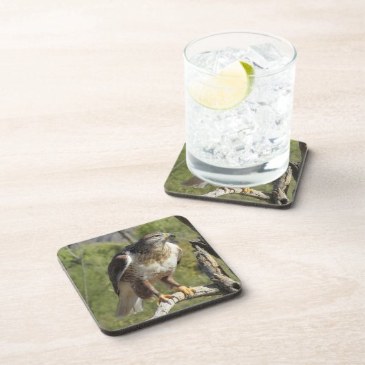 赤によって後につかれるタカのコースター コースター (右側)