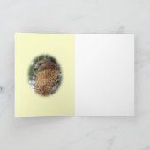 赤によって後につかれるタカの挨拶状 カード (内部)