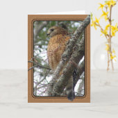 赤によって後につかれるタカの挨拶状 カード (黄色い花)