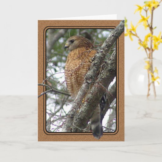 赤によって後につかれるタカの挨拶状 カード (黄色い花)