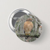 赤によって後につかれるタカの鳥ボタン 缶バッジ (正面&裏面)