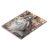 赤によって後につかれるタカ ノートブック (左側)