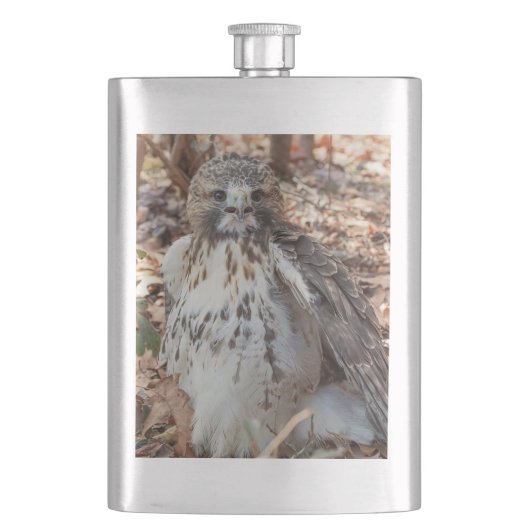 赤によって後につかれるタカ フラスク (正面)