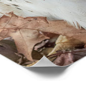 赤によって後につかれるタカ ポスター (角)