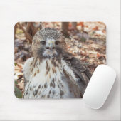 赤によって後につかれるタカ マウスパッド (マウス)