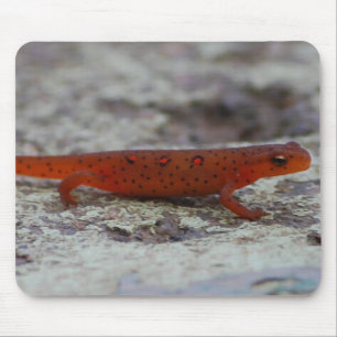 赤によって斑点を付けられるNewtのmousepad マウスパッド