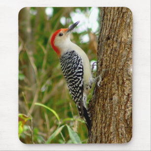 赤によって膨らまされるキツツキの鳥のマウスパッド マウスパッド