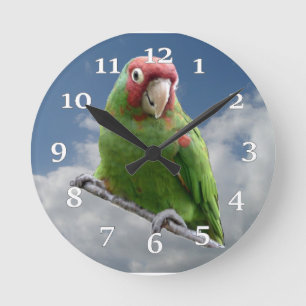 赤によって覆われるインコの柱時計 ラウンド壁時計