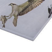 赤によって追跡されているミサゴによってはクロドリが飛びました カッティングボード (角)