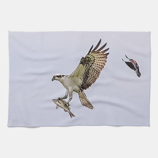 赤によって追跡されているミサゴによってはクロドリが飛びました キッチンタオル (横)