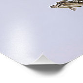 赤によって追跡されているミサゴによってはクロドリが飛びました フォトプリント            (角)