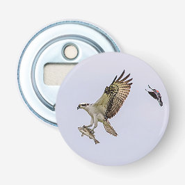 赤によって追跡されているミサゴによってはクロドリが飛びました 栓抜き