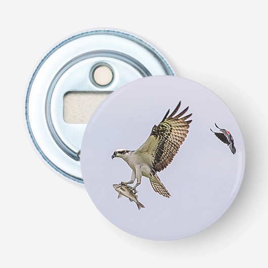 赤によって追跡されているミサゴによってはクロドリが飛びました 栓抜き (正面)