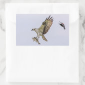 赤によって追跡されているミサゴによってはクロドリが飛びました 長方形シール (バッグ)