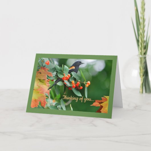 赤によって飛ぶクロドリの挨拶状 カード (正面)