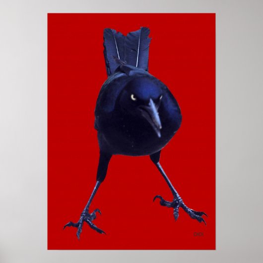 赤に黒い鳥 ポスター (正面)