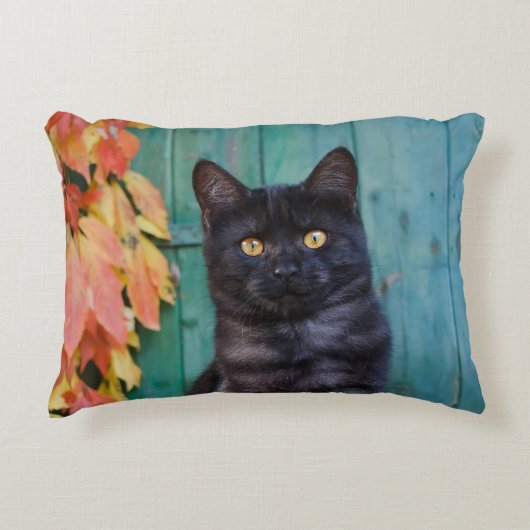赤のかわいい黒猫の子ネコは青いドアを去ります。- アクセントクッション (正面)