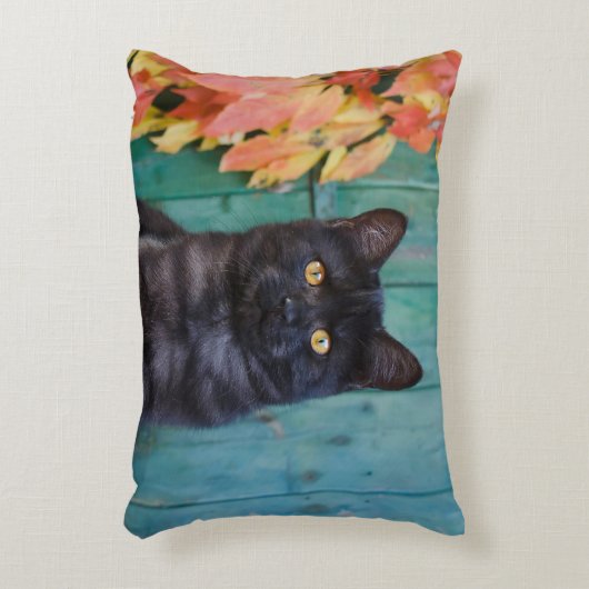 赤のかわいい黒猫の子ネコは青いドアを去ります。- アクセントクッション (正面(垂直))