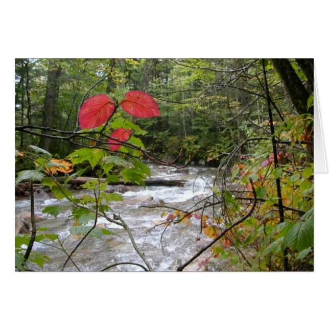 "赤のしぶき" (正面横)