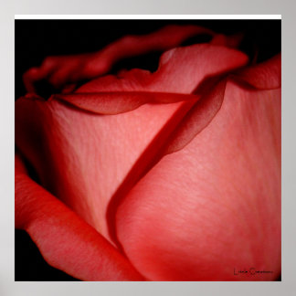 赤のキス ポスター