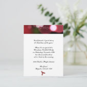 赤のクリスマスライト 招待状 (スタンド正面)