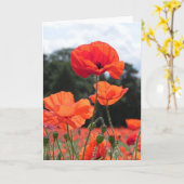赤のシェードのポピーフィールド カード (黄色い花)