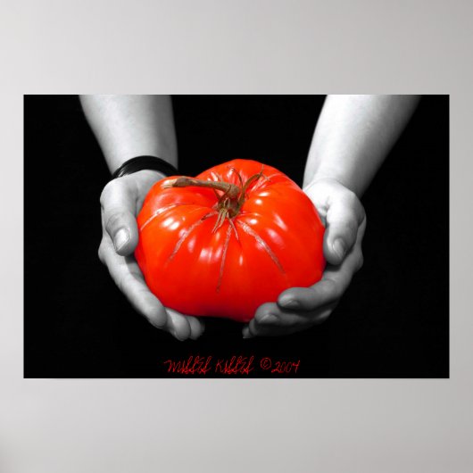 赤の供物 ポスター (正面)