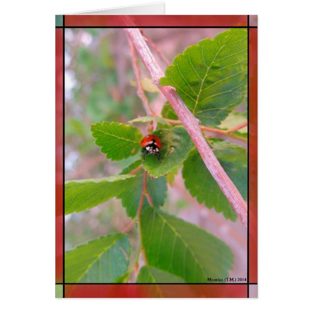 赤の女性 (正面)