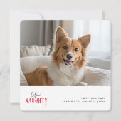 赤の定義いけなおもしろい犬クリスマスペットの写真 シーズンカード (正面)