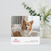 赤の定義いけなおもしろい犬クリスマスペットの写真 シーズンカード (スタンド正面)