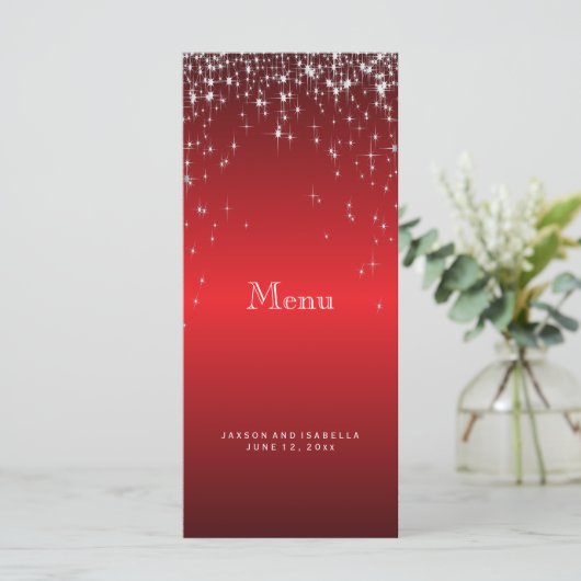 赤の星光源 – メニュー (スタンド正面)