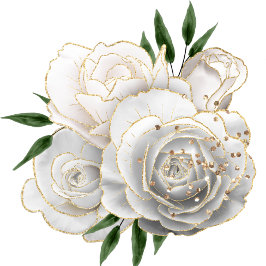 赤の普通色 ラッピングペーパー